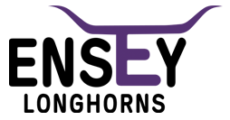 Ensey Longhorns logo